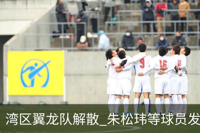 湾区翼龙队解散 朱松玮等球员发布声明维权